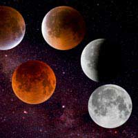 Astrologer Eclipse Solar Lunar Cardinal