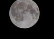 What Is Your Moon Sign and What Does It Mean?