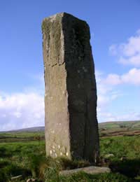 Celtic Astrology Druids Trees Tree